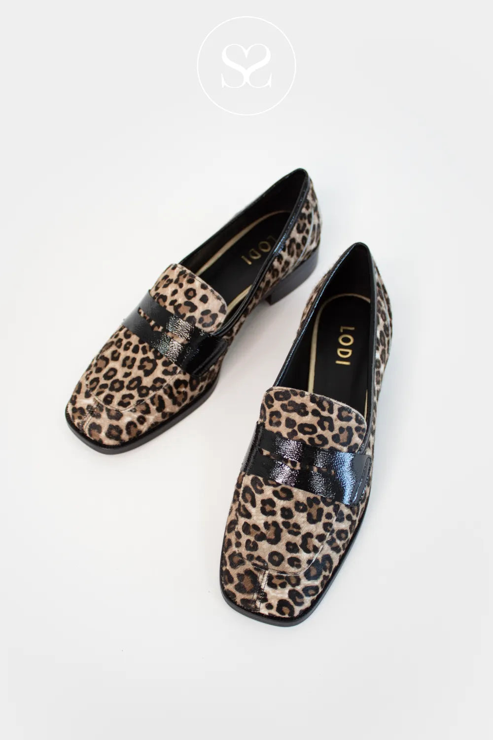 LODI LEOPARD PRINT FLAT LOAFERS WITH BLACK TRIM - BERECO-INO