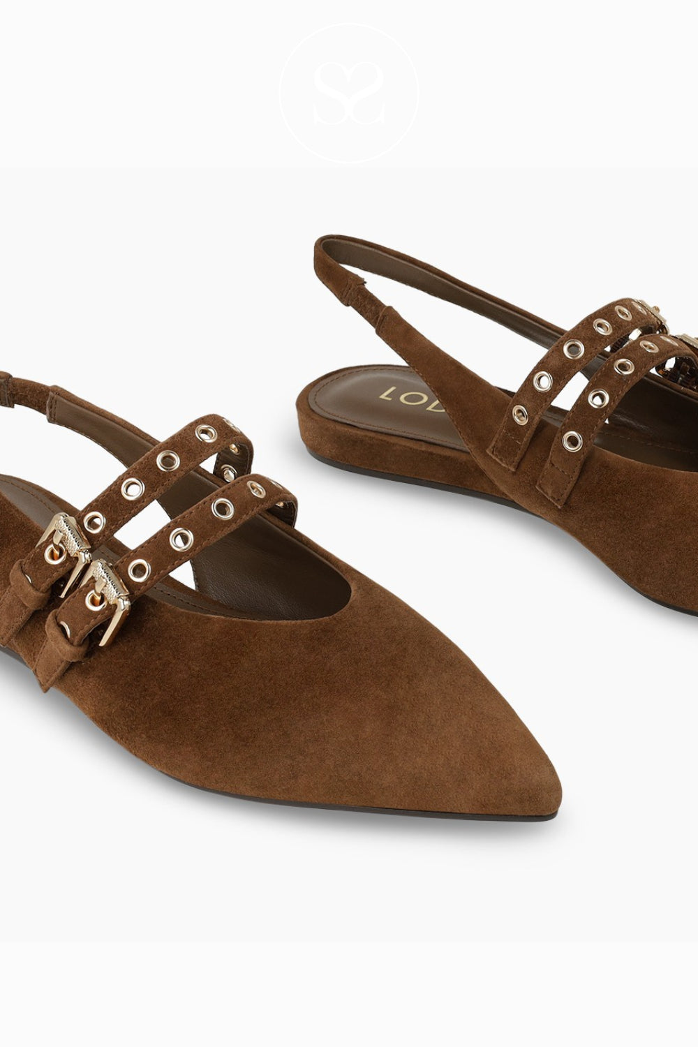 Brown pointed-toe shoes with buckles on a white background from Lodi available in Ireland at Sheneil Shoes