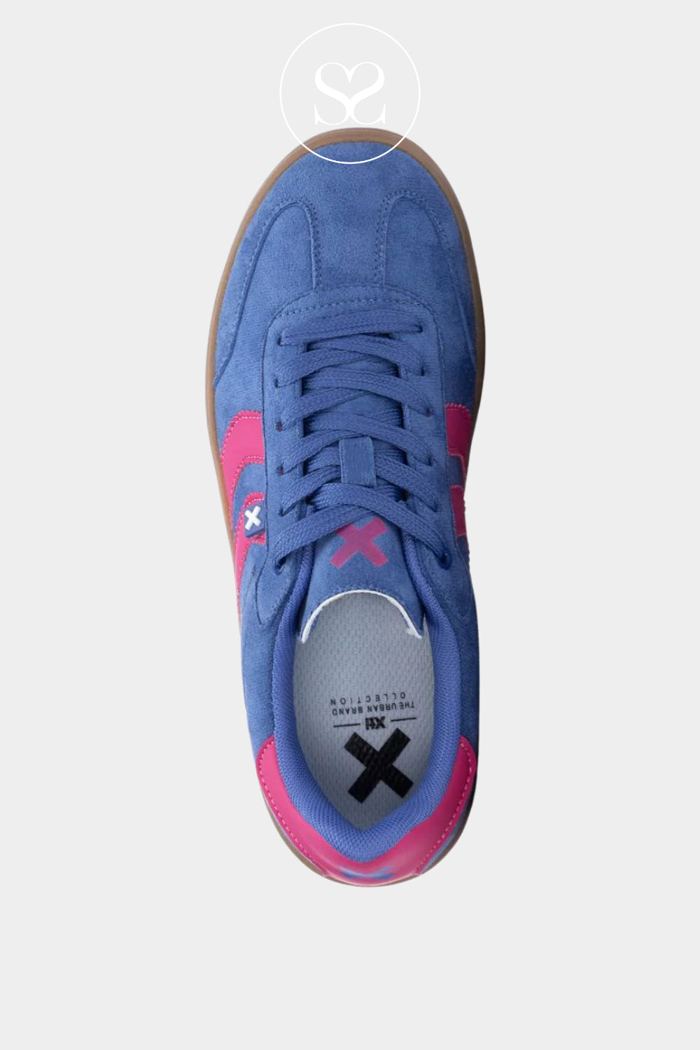 Blue and pink sneaker on a white background