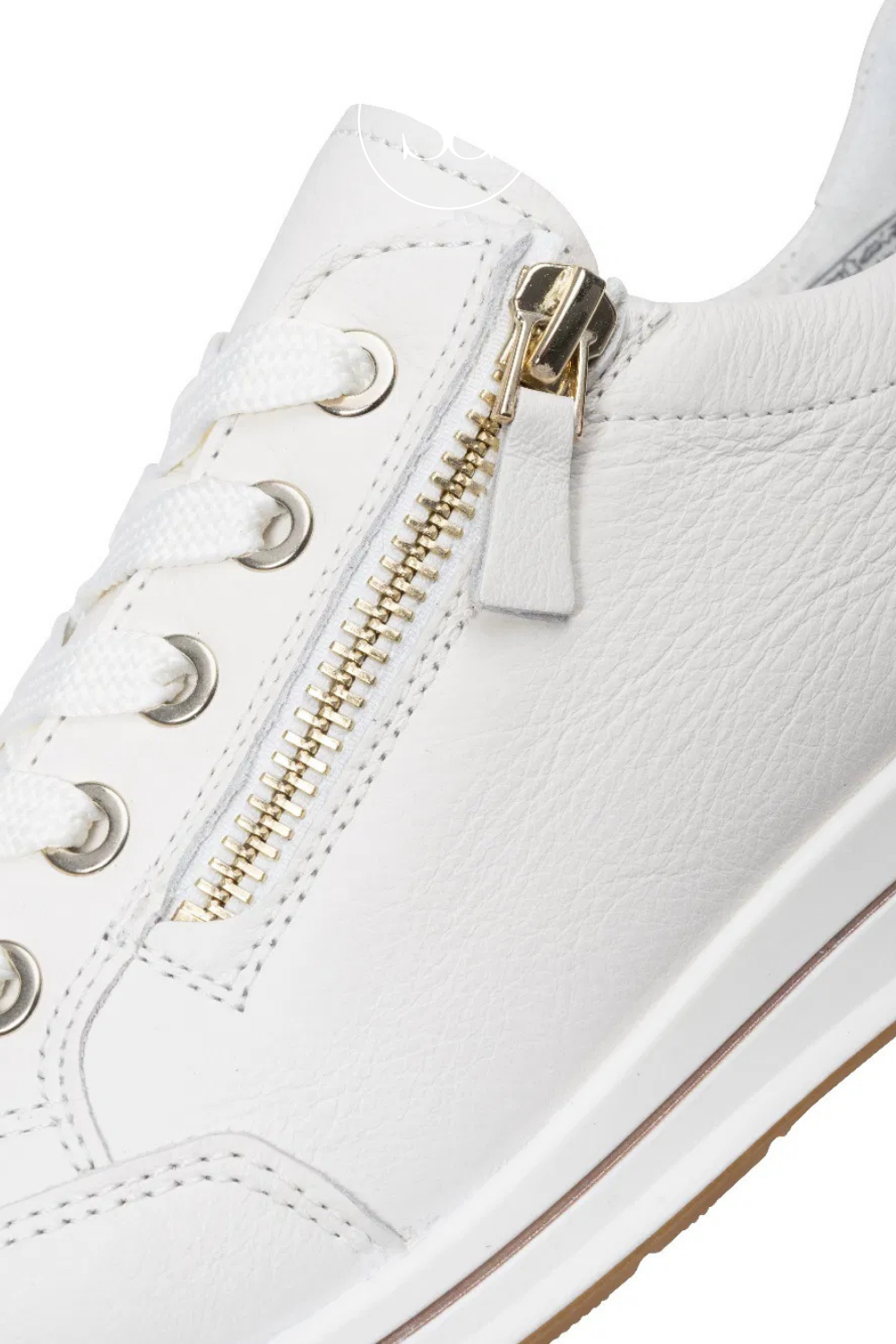 ivor trainers with gold hardware. classic style trainer. comfort and soft leather