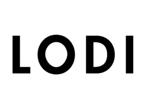 Lodi Shoes and Heels Ireland | lodi stockists Ireland