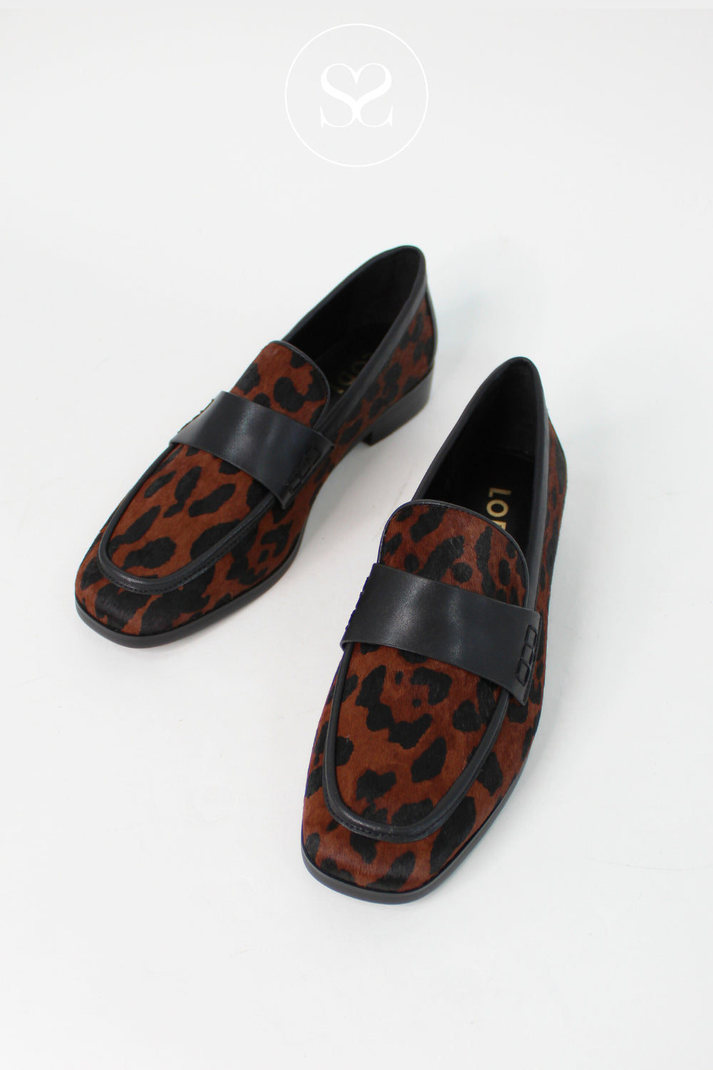LODI LEOPARD PRINT PENNY LOAFERS WITH BLACK TRIM - A-HOL5665P