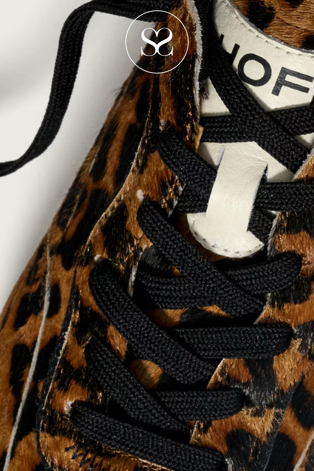 HOFF ALLEY LEOPARD PRINT TRAINERS FOR LADIES WITH WHITE TONGUE PANEL AND HOF LOGO
