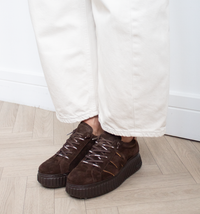 Platform Trainers