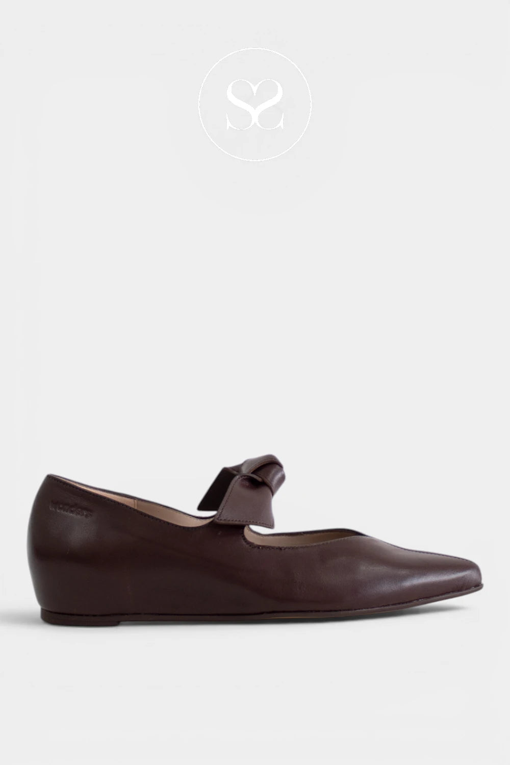 Wonders Chocolate Brown Pointed Toe Pumps - A-3840